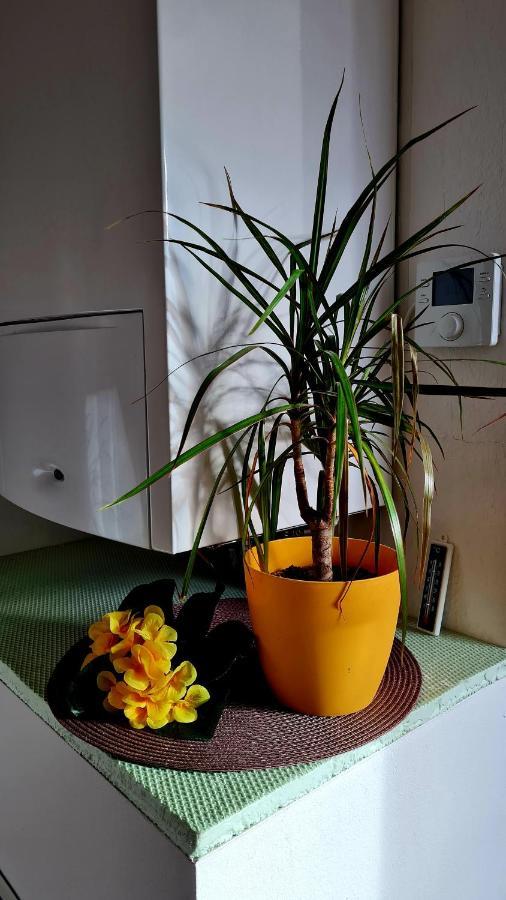 Apartement *Harzblick* Nordhausen Luaran gambar